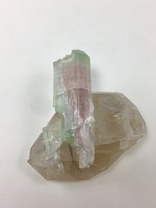 Double terminated watermelon Tourmaline on double terminated Quartz from Afghanistan