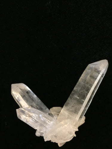 Himalayan Quartz Lemurian crystal cluster