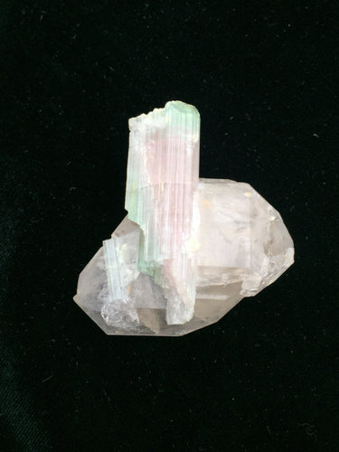 Double terminated watermelon Tourmaline on double terminated Quartz from Afghanistan