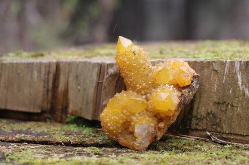 Spirit quartz with natural Iridescence.